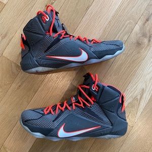 Nike Lebron James XII 12 Court Vision
